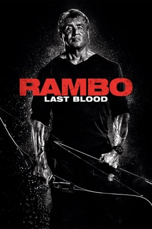 Rambo: Last Blood (2019) Hindi Dual Audio 480p BluRay 300MB Movie Poster