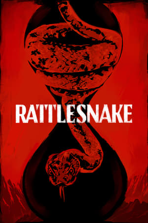 Rattlesnake (2019) Hindi Dual Audio 480p Web-DL 300MB Movie Poster