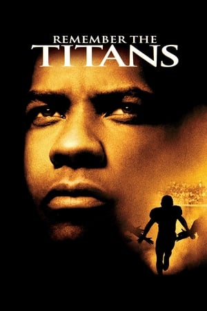 Remember the Titans (2000) Hindi Dual Audio 720p BluRay [700MB] Movie Poster