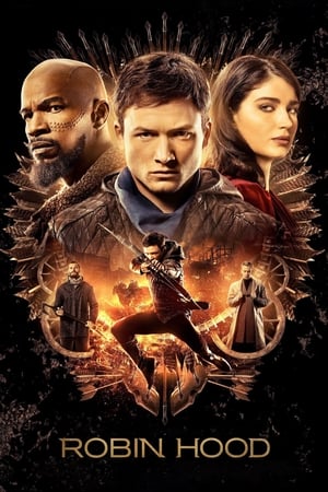 Robin Hood 2018 Hindi Dual Audio 720p BluRay [1GB] Movie Poster