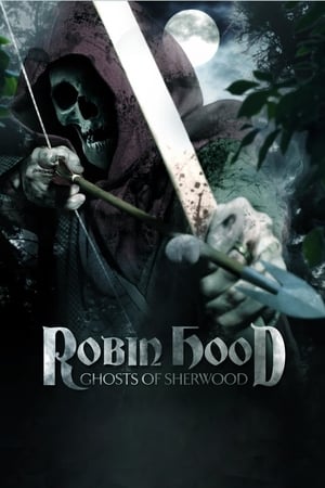 Robin Hood: Ghosts of Sherwood (2012) Hindi Dual Audio 480p BluRay 350MB Movie Poster