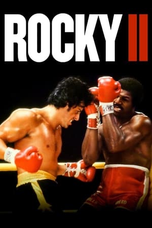 Rocky II (1979) Dual Audio Hindi 480p Bluray 400MB Movie Poster