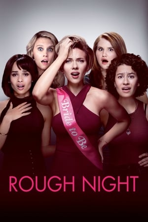 Rough Night (2017) Hindi Dual Audio 480p BluRay 400MB Movie Poster