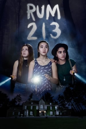 Rum 213 2017 Hindi Dual Audio 720p BluRay [800MB] Movie Poster