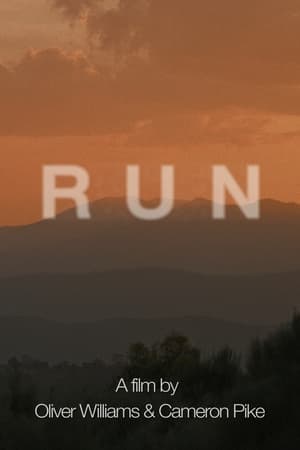 Run (2024) WEBRIP Hindi (MULTI AUDIO) 720p 480p 1080p