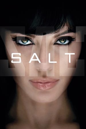 Salt (2010) Hindi Dual Audio 720p BluRay [800MB] Movie Poster