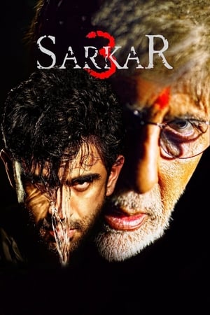 Sarkar 3 2017 Full Movie DVDRip 720p [700MB] Download Movie Poster