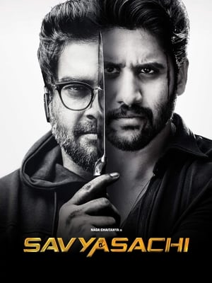 Savyasachi (2018) Hindi Dual Audio 480p UnCut HDRip 450MB Movie Poster