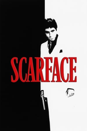 Scarface (1983) Dual Audio Hindi Movie 720p BluRay - 1.4GB Movie Poster