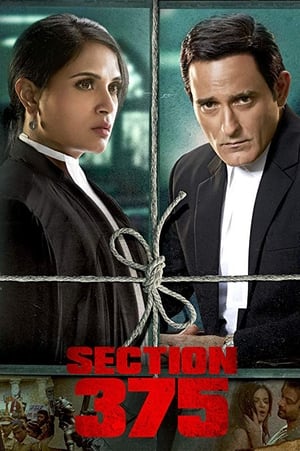 Section 375 (2019) Hindi Movie 480p HDRip - [360MB] Movie Poster