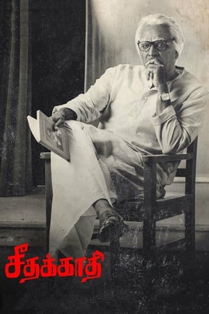 Seethakaathi (2018) Hindi Dubbed 720p HDRip [1.1GB] Movie Poster