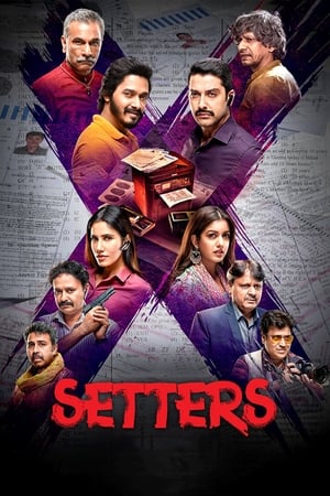 Setters (2019) Hindi Movie 480p HDRip - [350MB] Movie Poster