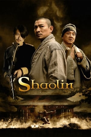 Shaolin (2011) Hindi Dual Audio 480p BluRay 400MB Movie Poster