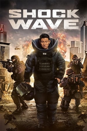 Shock Wave (2017) Hindi Dual Audio 720p BluRay [1.1GB] Movie Poster