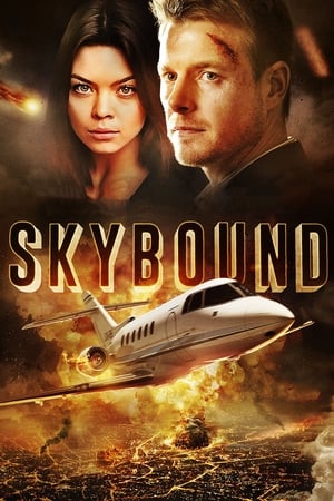 Skybound (2017) Hindi Dual Audio 480p BluRay 350MB Movie Poster