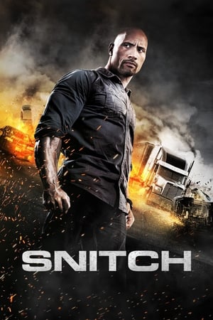 Snitch (2013) Hindi Dual Audio 720p BluRay [930MB] Movie Poster