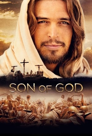 Son of God 2014 Hindi Dual Audio 480p BluRay 450MB Movie Poster