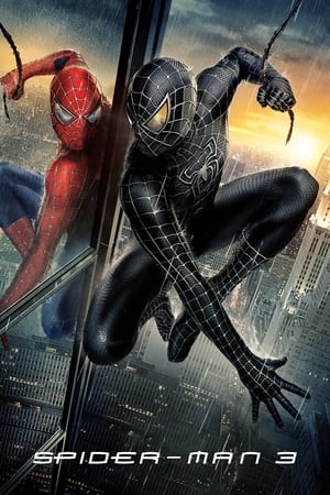 Spider-Man 3 (2007) Hindi Dual Audio 480p BluRay 300MB Movie Poster