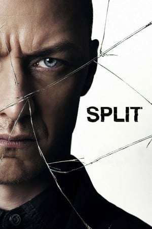 Split (2016) Hindi Dual Audio 720p BluRay [1GB] Movie Poster