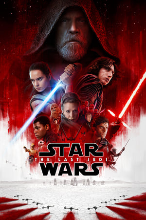 Star Wars The Last Jedi 2017 Dual Audio Hindi ORG 480p BluRay 450MB Movie Poster