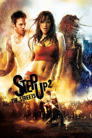 Step Up 2 The Streets 2008 Hindi Dual Audio 720p BluRay [700MB] Movie Poster