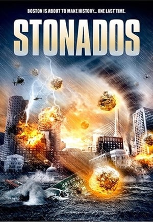 Stonados (2013) Hindi Dual Audio 480p BluRay 300MB Movie Poster