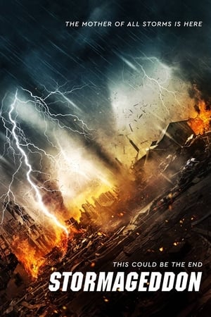 Stormageddon (2015) Hindi Dual Audio 720p BluRay [1.1GB] Movie Poster