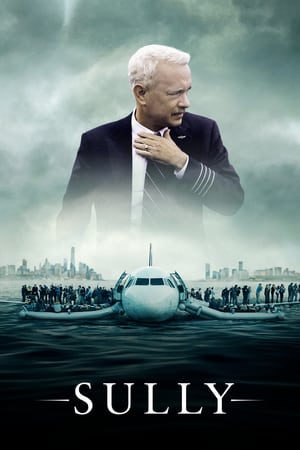 Sully (2016) Hindi (Unofficial Dubbed) Dual Audio BluRay [480p] [720p] Movie Poster