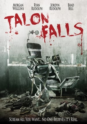 Talon Falls (2017) Hindi Dual Audio 720p BluRay [1GB] Movie Poster