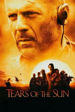 Tears of the Sun 2003 Hindi Dual Audio 720p BluRay [970MB] Movie Poster