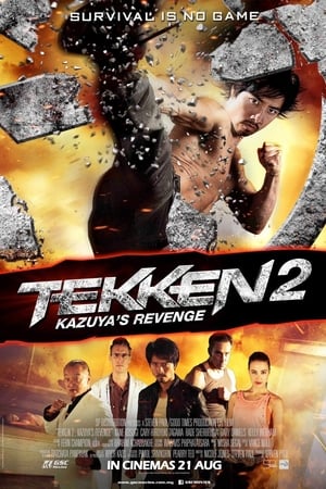 Tekken Kazuyas Revenge 2014 Hindi Dual Audio 720p BluRay [900MB] Movie Poster