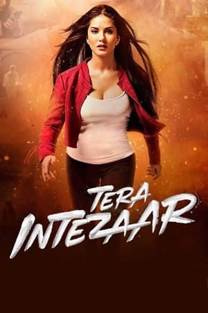 Tera Intezaar 2017 Movie 720p HDRip x264 [850MB] Movie Poster