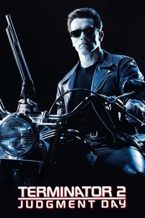 Terminator 2 (1991) Hindi Dual Audio 480p BluRay 500MB Movie Poster