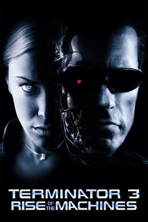 Terminator 3: Rise of the Machines (2003) Hindi Dual Audio 480p BluRay 350MB Movie Poster