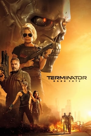 Terminator: Dark Fate (2019) Hindi (Org) Dual Audio 480p BluRay 400MB Movie Poster