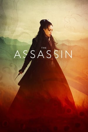 The Assassin 2015 Hindi Dual Audio 480p BluRay 300MB Movie Poster