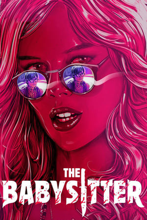 The Babysitter (2017) Hindi Dual Audio 480p WebRip 300MB Movie Poster