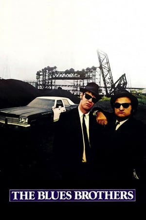 The Blues Brothers (1980) Hindi Dual Audio Movie 720p BluRay - 1.2GB Movie Poster