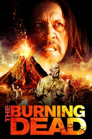 The Burning Dead (2015) Hindi Dual Audio 480p BluRay 300MB Movie Poster