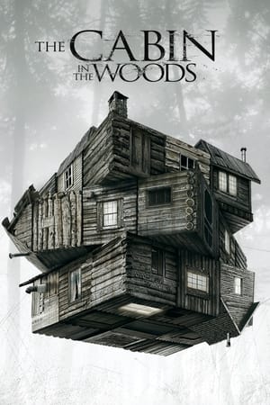 The Cabin in the Woods (2011) Hindi Dual Audio 720p BluRay [990MB] Movie Poster