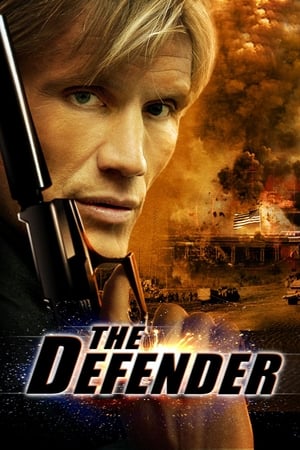 The Defender (2004) Hindi Dual Audio 720p BluRay [1.2GB] Movie Poster