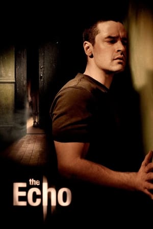 The Echo (2008) Hindi Dual Audio 480p BluRay 300MB Movie Poster