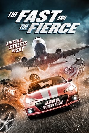 The Fast and the Fierce 2017 Hindi Dual Audio 480p BluRay 300MB Movie Poster