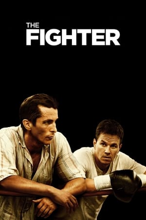 The Fighter (2010) Hindi Dual Audio 720p BluRay [700MB] Movie Poster