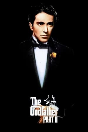 The Godfather Part II (1974) Dual Audio Hindi Full Movie 720p BluRay - 1GB Movie Poster