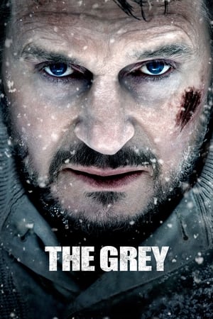 The Grey 2011 Hindi Dual Audio 720p BluRay [830MB] Movie Poster