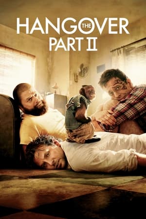 The Hangover Part II (2011) Hindi Dual Audio 480p BluRay 300MB Movie Poster