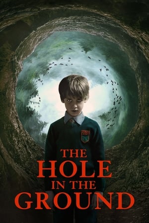 The Hole in the Ground 2019 Hindi Dual Audio 480p BluRay 300MB Movie Poster