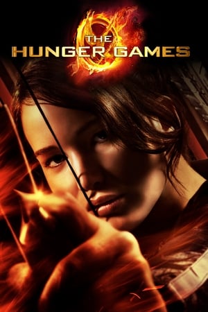 The Hunger Games 2012 Hindi Dual Audio 720p BluRay [1.1GB] Movie Poster