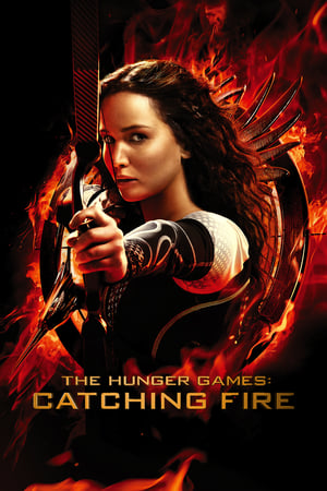 The Hunger Games Catching Fire 2013 Hindi Dual Audio 720p BluRay [1.1GB] Movie Poster